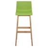 Drift Oak & Green Bar Stool