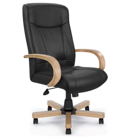 Tampa Executive Chair