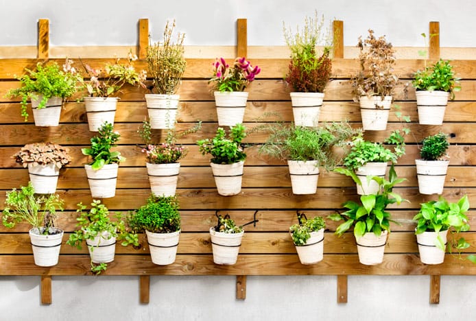 Lagom Inspired Kitchen Wall Garden