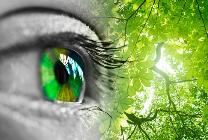 Psychology Of The Colour Green