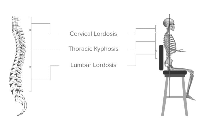 Spine Digram on Bar Stool